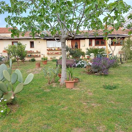 Garden Rooms Olbia Zewnętrze zdjęcie
