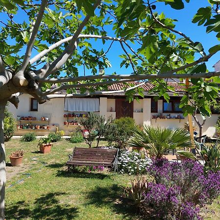 Garden Rooms Olbia Zewnętrze zdjęcie